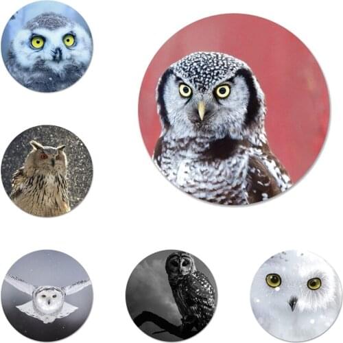 Owl Snowy Animal Icons Pins Badge Decoration Brooches Metal Badges For Backpack Decoration 58mm