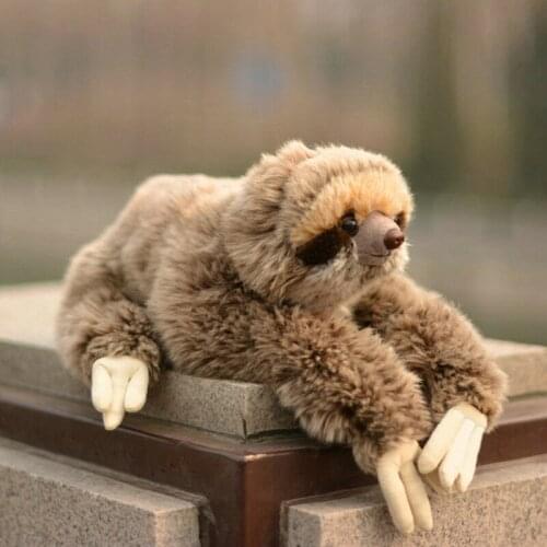 35 cm Lifelike Sloth Plush Toy Three Toed Sloth Short Fluffy Cute Animal Stuffed Doll Bradypod Home Decor Crafts Kids Gifts