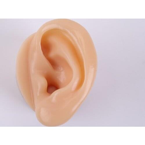 Color Silicone simulation ear model Silicone ear Ear model Earrings headset display props