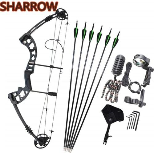 Archery Compound Bow Arrow Sets 30-55lbs Adjustable Hunting Bow With SP 500 Carbon Arrows Right Hand Adult Bow Hunting Shooting