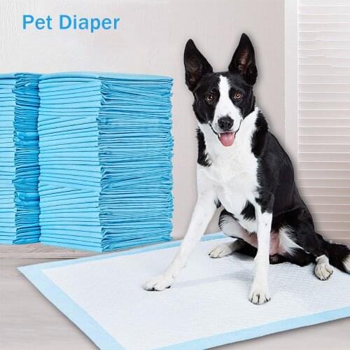 Pet Diaper Deodorant Thickening Water Diaper Disposable Training Pad Super Absorbent Pet Diaper Pads Nappy Mat For Cats and Dogs
