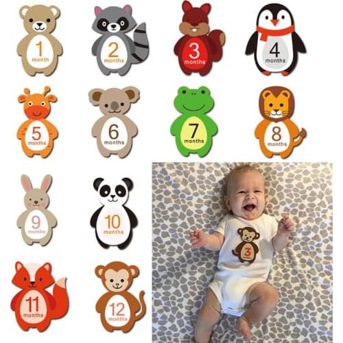 12 Sheets/set Cute Baby Monthly Milestone Stickers Animal Belly Photographic Props Pregnant Women Newborn Infant photo