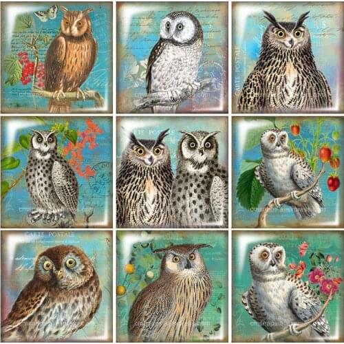 Beauty Vintage Owl Square glass cabochon 10pcs mixed 12mm/20mm/25mm/30mm Size flat back DIY Jewelry Findings Components