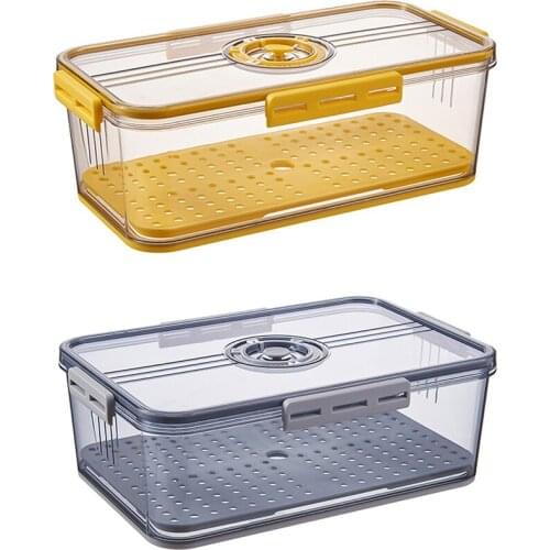 Household Kitchen Fruit and Vegetable Storage Box Refrigerator Drain Fresh-Keeping Case Plastic Transparent Sealed Dumpling Box