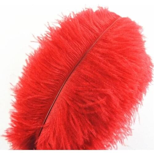 Wholasale 100pcs/Lot Red Ostrich Feathers for Crafts 15-70cm DIY Carnival Costumes Party Home Wedding Decorations Natural Plumas