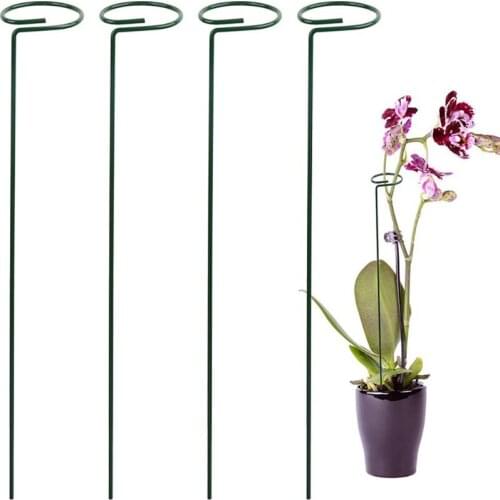 1 Pc Garden Support Stake Ring Metal Garden Plant Supports Single Stem Shrub Holder for Plants Rose Flowers Vegetables Vine