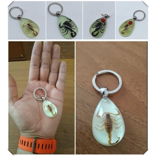 Motorcycle Accessories Insect Luminous Amber Keychain Waist Pendant for Kawasaki ZZR600 Z900 Z650 VERSYS 1000 VULCAN S 650cc