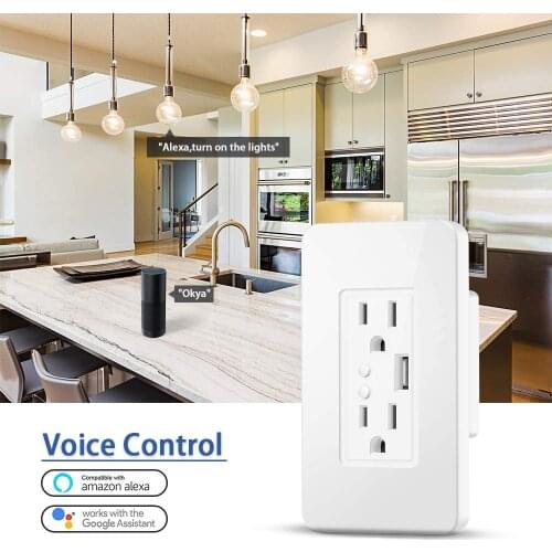 Tuya WiFi Wall Socket 2 In 1 American Standard Socket Double Plug Wall Embedded Plug With USB Outlet Smart Home Work With Alexa