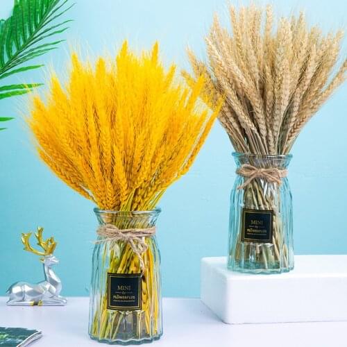 100Pcs Real Wheat Ear Flower Natural Dried Flowers For Wedding Party Decoration DIY Craft Scrapbook Home Decor Wheat Bouquet