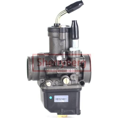 SherryBerg Carb Carburettor Carburador Replace for Dellorto Carburetor PHBH 30 BS 30mm with Choke 2 & 4 Strokes for 125cc-300cc