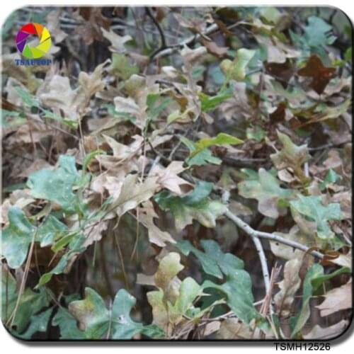 Free shipping TSAUTOP Size 0.5m x 2m/10m realtree water transfer hydrographic film transfer aquaprint wdf12526