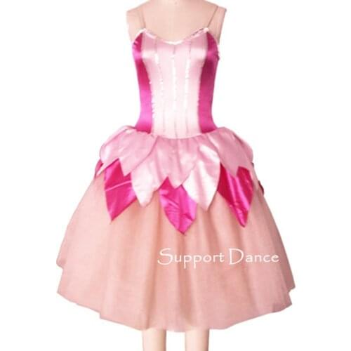 Support-Dance Romantic Ballet Tutu Dress Kids Adult Dance Costume C224