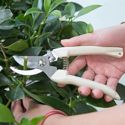 High Quality Anti-slip Gardening Pruning Shear Scissor Stainless Steel Cutting Tools Set Pruner Tree Cutter Home Tools