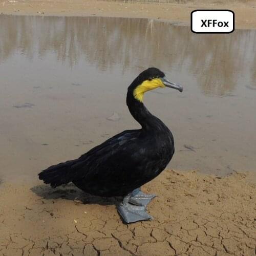 Big real life Cormorant model foam&feather simulation black Cormorant bird gift about 45x35cm xf0890
