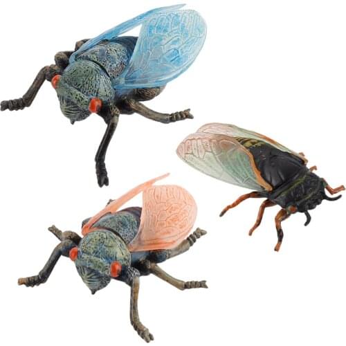 Insects Model Plastic Fake Cicada Lifelike Insects Bugs Figurines for Kids Themed Party