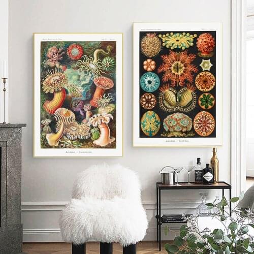 Marine Jellyfish seaweed Vintage Poster Jellyfish Corals Green Algae Sea Anemones Squirts Starfish Wall Art Canvas Painting