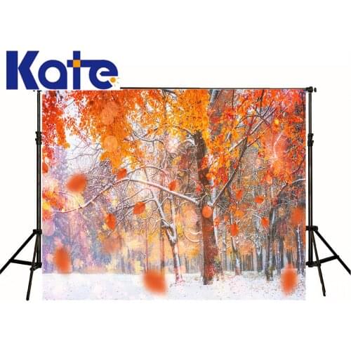 VinylBDS 7X5FT Photo Red Leaves Frozen Snow Frozen Forest Beautiful Scenery background backdrop