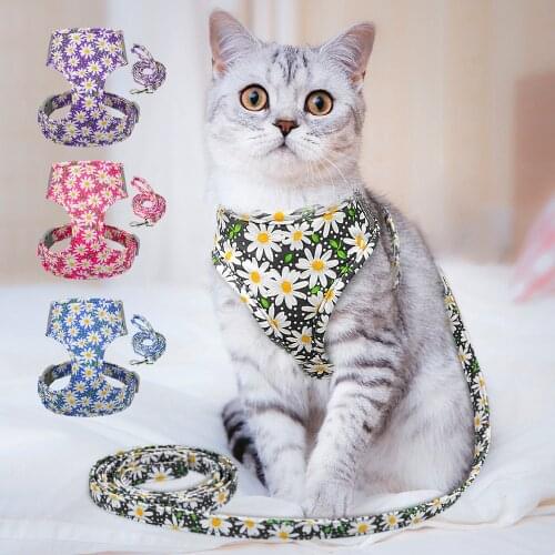 Cute Printed Cat Harness and Leash Set Adjustable Nylon Mesh Pet Puppy Cat Walking Harness Vest Leash For Small Cats Dogs Kitten