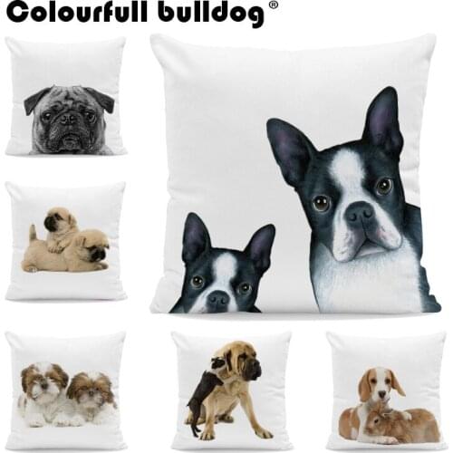 Cute Dogs Pillow Cushion Cover Golden Retriever Shih Tzu Throw Pillow Rabbit Cat French Bulldog 43*43cm Pillowcase Pug Boxer Dog