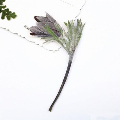 100pcs/9-12cm,Natural Pressed flower branch,Eternal real plant DIY Wedding invitations graft Bookmark Gift Cards Scented candles