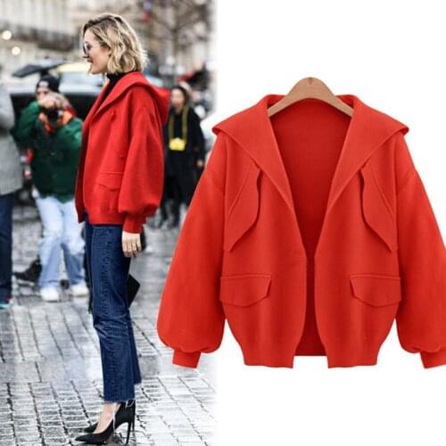 New Loose Wild Short Paragraph Hooded Jacket Autumn Solid Color Long-sleeved Temperament Simple Sweet Beautiful Jacket Thick