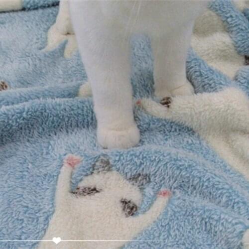 Dogstory Cat Pillows