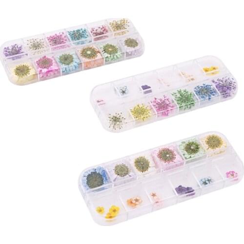 Dried Flower Manicure Decoration 3D Delicate Embellishment Nails Multicolor High Quality Fashion Small Fresh Sweet Nail Art