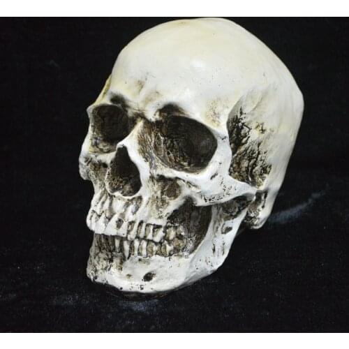 Resin Artware Halloween Skull Shaped Figurine Ornament Decorative Statue for Home Shops