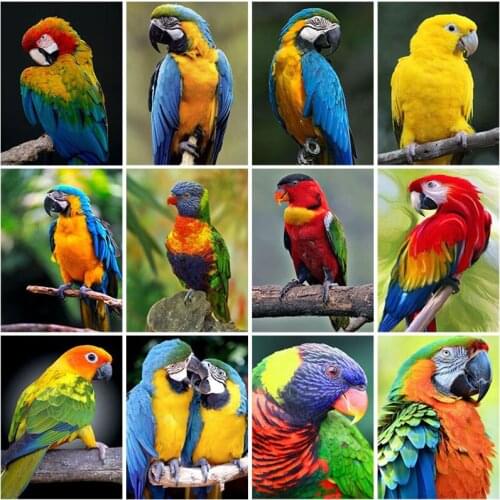 5D Diy Diamond Embroidery Parrot Diamond Painting Animal Full Square Drill Mosaic Cross Stitch Kits Handicraft Home Decor Gift