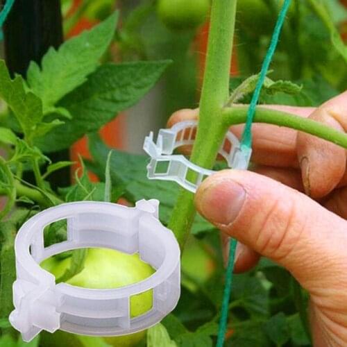 50Pcs Plastic Plant Vines Clips Supports Connects Tomato Vegetables Clips Trellis Protection Grafting Fixing Tool Twine Plants