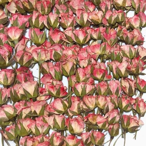 Nature Pressed Rose Flower for DIY Art Craft Bookmark Wedding Invitation Gift Decoration Scented Candle DIY Resin Crafts