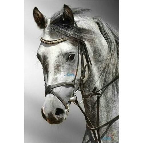 Snow Two Horse Printed Water-Soluble Canvas 11CT Cross Stitch DIY Embroidery Complete Kit DMC Threads Craft Counted