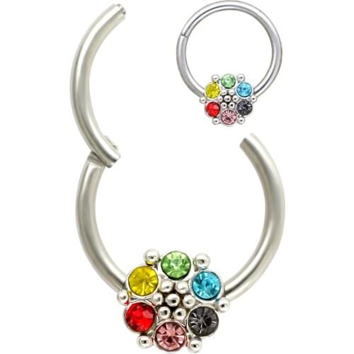 JHJT 16G Nose Hinge Segment Rings 316L Surgical Stainless Steel Colourful Cubic Zirconia Nose Helix Tragus Rook Daith