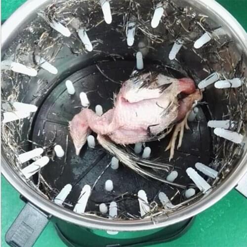 12V 5000R Quail Pigeon Small Birds Defearther Machine Hair Removal Plucking Machine Poultry Mini Plucker