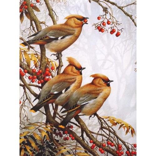 Bird Animal Printed 11CT Cross Stitch Embroidery Kit DMC Threads Craft Handmade Sewing Handiwork Room Decor Gift