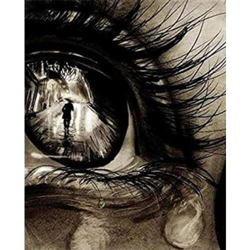 AMTMBS "Eye Flower" Picture Oil Painting By Numbers Kit Hand Painted On Canvas Unique DIY Gift Home Wall Art Decor