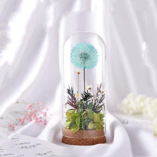 Free Shipping 6sets/pack 6*15cm Cork Base Tube Glass Dome Home Decoration Diameter=6cm Diameter=15cm Glass Cover Gift Wedding