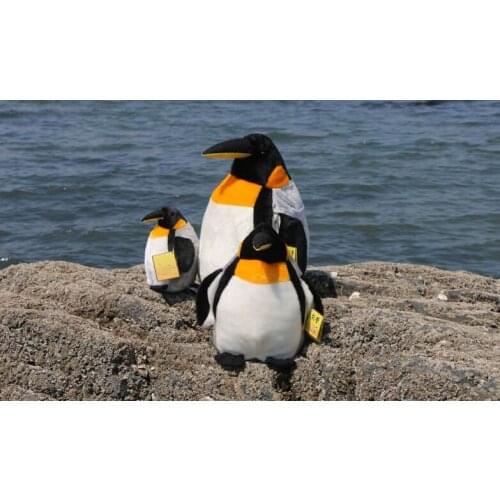 High quality goods lovely penguin plush toy soft doll throw pillow birthday gift w0871