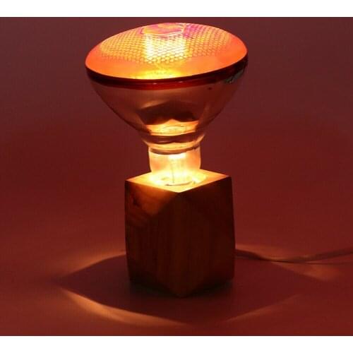 240V Infra Red Heat Lamp Poultry Brooder Chicks Waterproof Hatching Puppies Piglet Bulb SCIE999