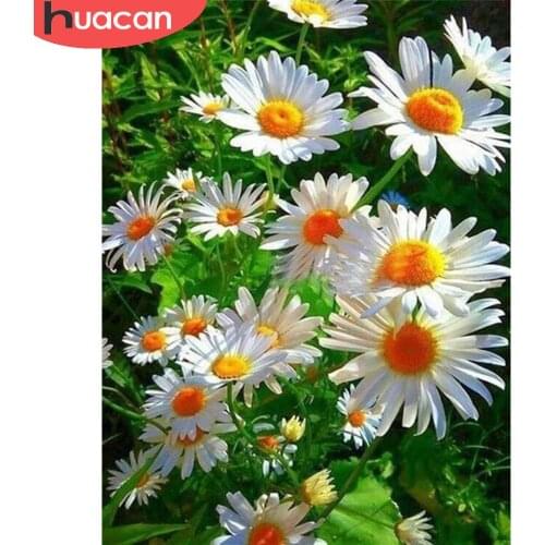 HUACAN 5D Full Square/Round Drill Diamond Painting White Daisy Flower Embroidery Cross Stitch Home Art Room Decor