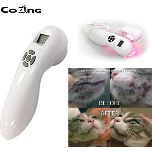 Animal Protection Association Veterinary use for Animals pets wound healing cold laser therapy instrument