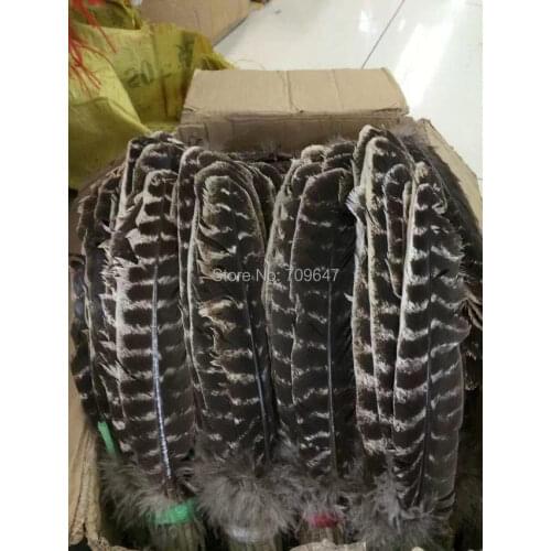 Wild Turkey Feathers,100Pieces-NATURAL BARRED Wild Turkey Rounds Wing Quill Feathers 10-12inches 25-30cm,feathers decoration