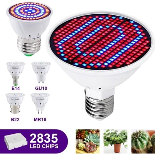 FPKB LED Plant Lamps China