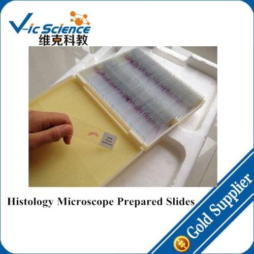 181pcs Histology Microscope Prepared Slides Set