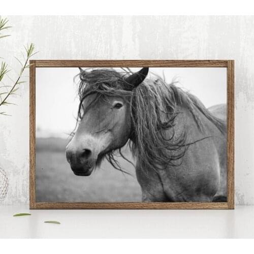 Black and White European Wild Horse Poster Canvas Prints Modern Photography Animal Picture Art Painting Home Wall Art Decor