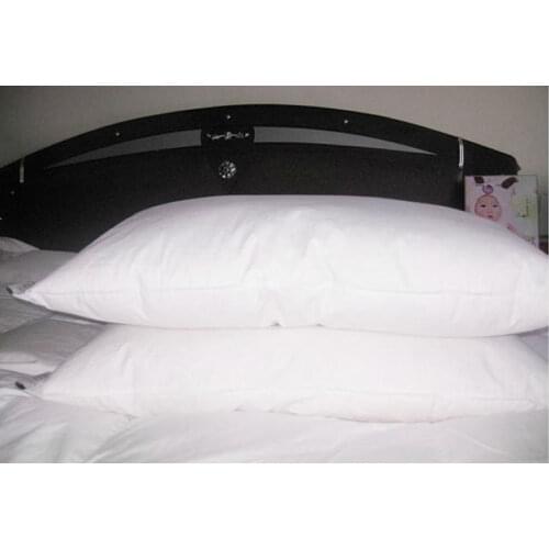 Free shipping epacket / Down pillow & neck pillow &duck down pillow 45 *70cm / paypal accepted