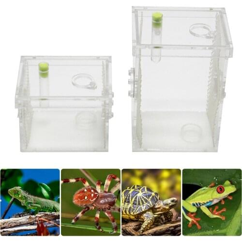 Acrylic Reptile Feeding Box Transparent Insect Box Spider Breeding Box Insect Reptile Cage Terrarium Humidor Feeding Box
