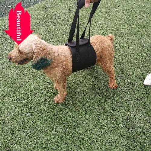 New Hot Sale Dog Harness Auxiliary Belt For Dogs /Disabled Dogs/Assisted Belt For Elderly Dogs/Pet Supplies Dog Harness
