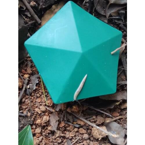 Slug and Snail Trap Catch Slugs Snails Garden Control Spider Catcher Reusable Garden Supplies 2021 Packs Slug and Snail Trap