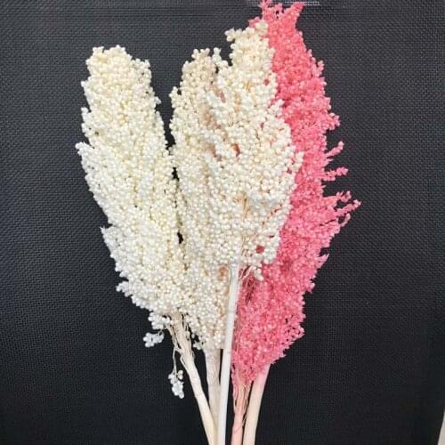 About 140gThe Ear of 15-25CM,Dried Natural Flowers Real Sorghum Flower Bouquet,Dry Eterna Grain Sorghum For Home Decor